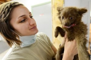 a vet holding a puppy